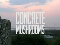 Concrete Mushrooms Project